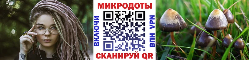 нарко площадка официальный сайт  Грозный  Галлюциногенные грибы GOLDEN TEACHER 